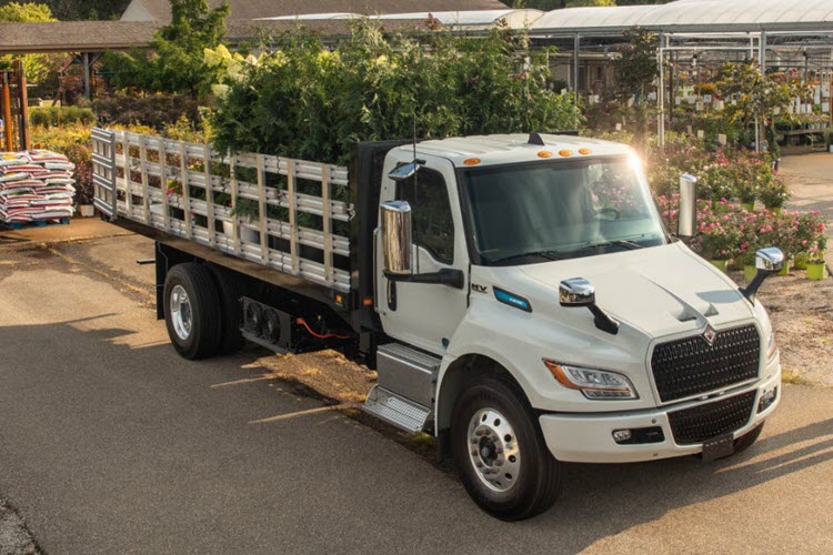 Electric truck hauling trees